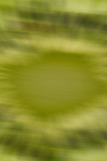 An abstract, soft-focus macro image showing motion-blurred radial lines of vibrant green and yellow shades