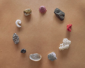An open semi-circle arrangement of unique, multi-colored smooth stones and crystalline mineral samples on a neutral tan surface