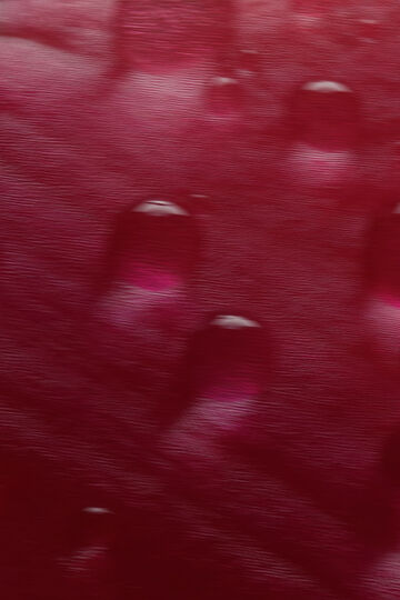 Macro close-up view of shimmering clear water droplets scattered across a smooth deep-red organic surface