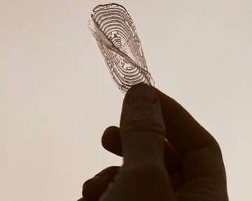 Close-up silhouette view of a hand holding up a delicate, semi-sheer dried leaf skeleton against a warm light