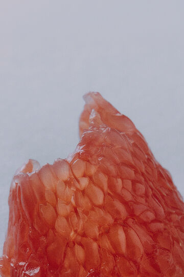 Close-up view of the textured juicy pulp structures of a pink grapefruit slice against a plain background