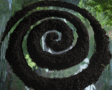 Top-down macro shot of a dark green spiral structure covered in fine moss or dense plant material
