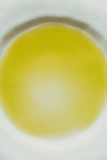 Abstract close-up of a blurred yellow organic cell texture