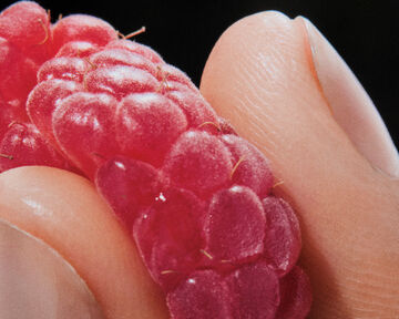 Macro close-up view contrasting the textured surface of a ripe red raspberry alongside a smooth, soft pink organic shape