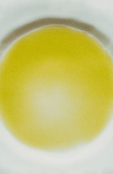 Macro close-up view of a circular yellow-green oil or liquid drop suspended inside clear fluid on a white surface