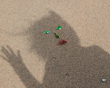Top-down view of a small green sprout emerging from dry sand, with the shadow of a hand reaching over it