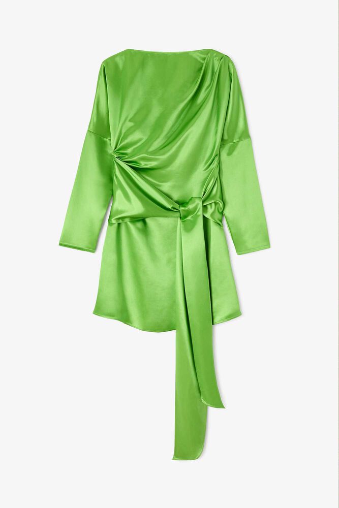 Dress in Green Satin, Spindle Tree