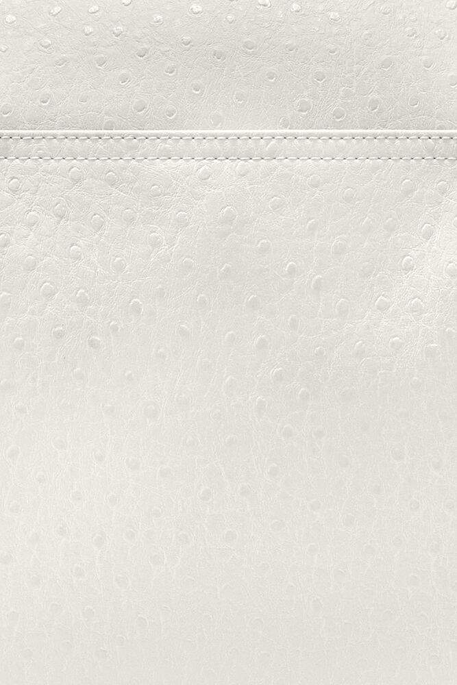 Posy Bag in White Ostrich, Egret